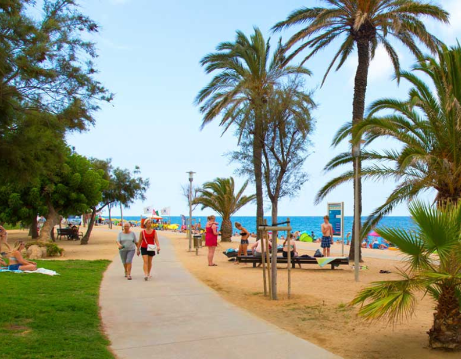 Diseño sin título (8)